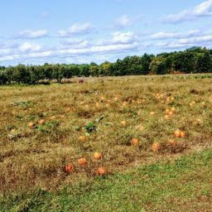 Meet your Posher, Hailey